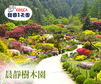 【首爾出發】南怡島 X 江村鐵道腳踏車 X 晨靜樹木園